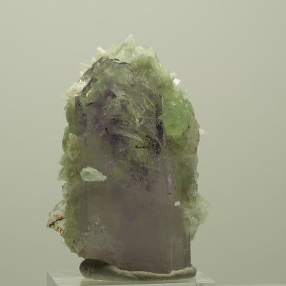 Lemurian Skelett Phantom Amethyst mit Prehnit Streep Mine, Goboboseb, Namibia 47*35*23mm #14816