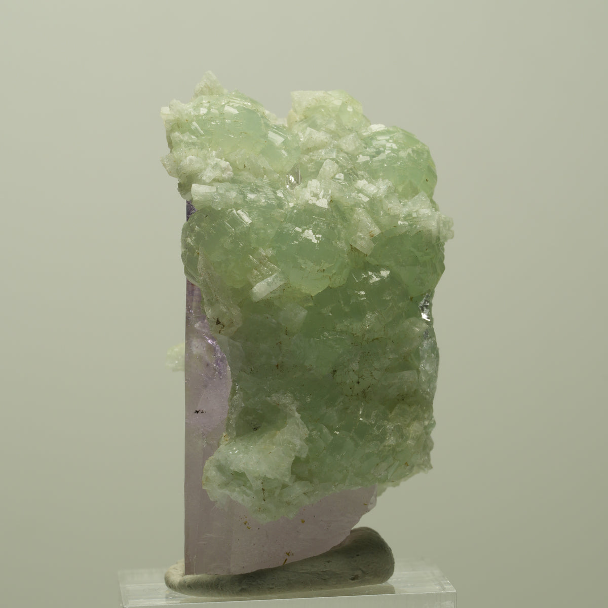 Lemurian Skelett Phantom Amethyst mit Prehnit Streep Mine, Goboboseb, Namibia 47*35*23mm #14816