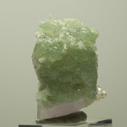 Lemurian Skelett Phantom Amethyst mit Prehnit Streep Mine, Goboboseb, Namibia 47*35*23mm #14816