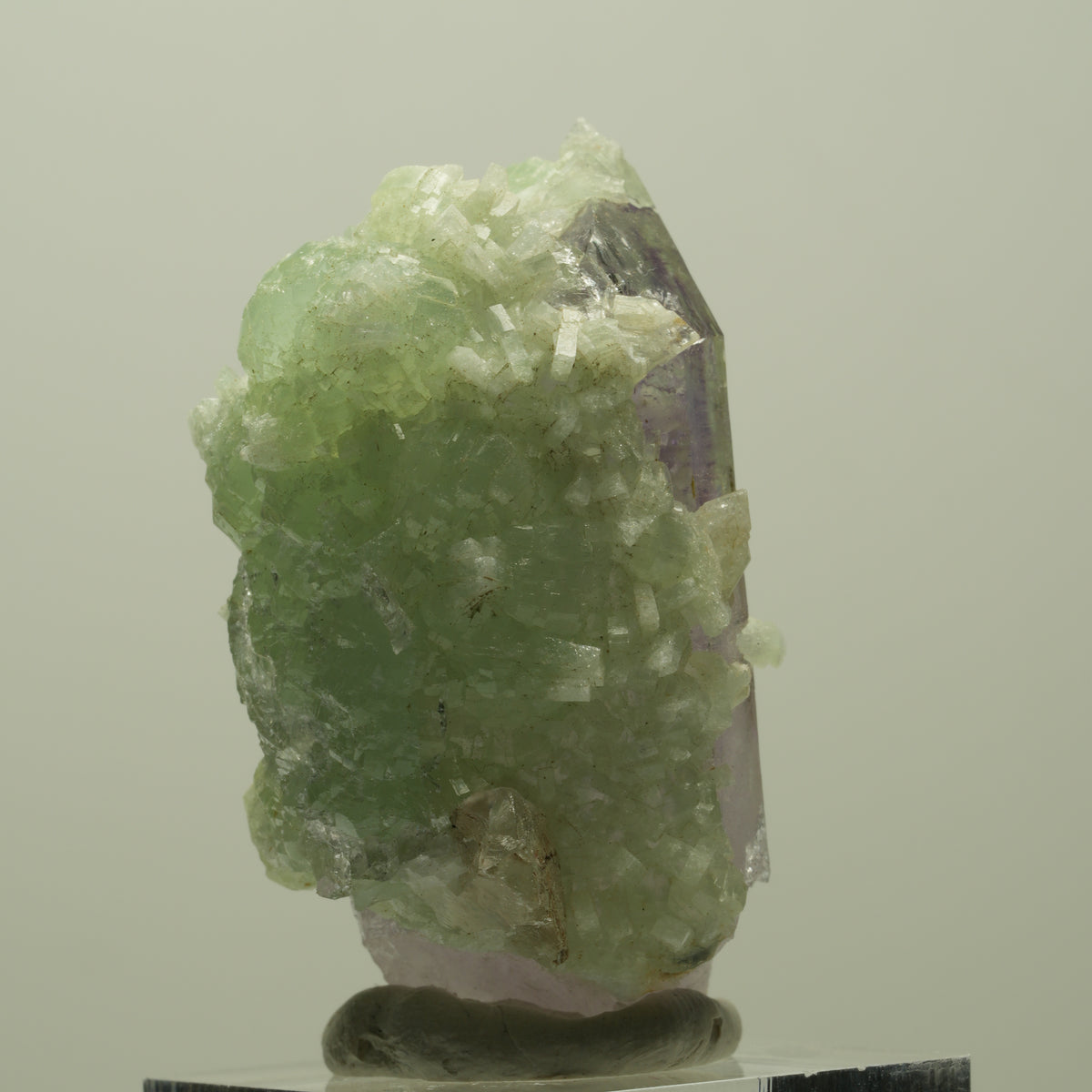 Lemurian Skelett Phantom Amethyst mit Prehnit Streep Mine, Goboboseb, Namibia 47*35*23mm #14816