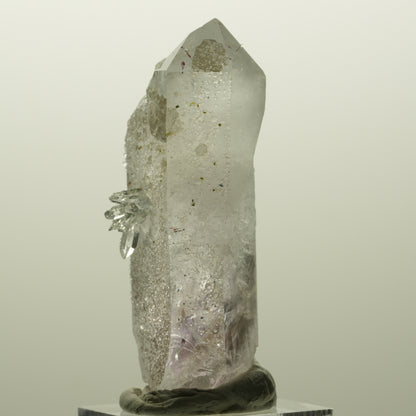 Harlekin Lemurian Phantom Amethyst mit Analcim Streep Mine, Goboboseb, Namibia 60*29*26mm #14820