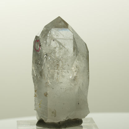 Enhydro Skelett Phantom Rauchquarz mit Epidot, 1x Blase Streep Mine, Namibia 40*23*23mm #14828