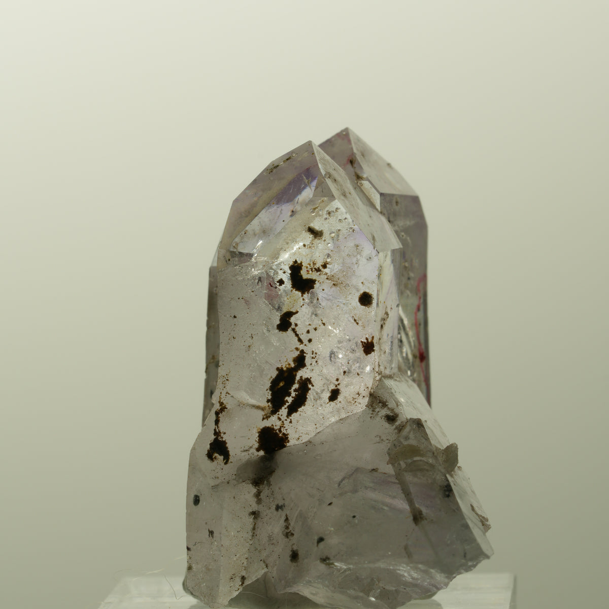 Enhydro Harlekin Phantom Amethyst, Prehnit Epidot 1x Blase Streep Mine, Namibia 36*37*23mm #14835