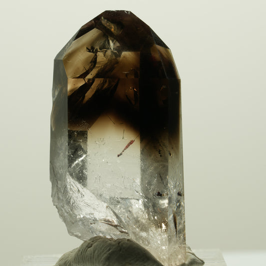 Enhydro Harlekin Lemurian Phantom Rauchquarz, 1x Blase Streep Mine, Namibia 37*22*16mm #14836
