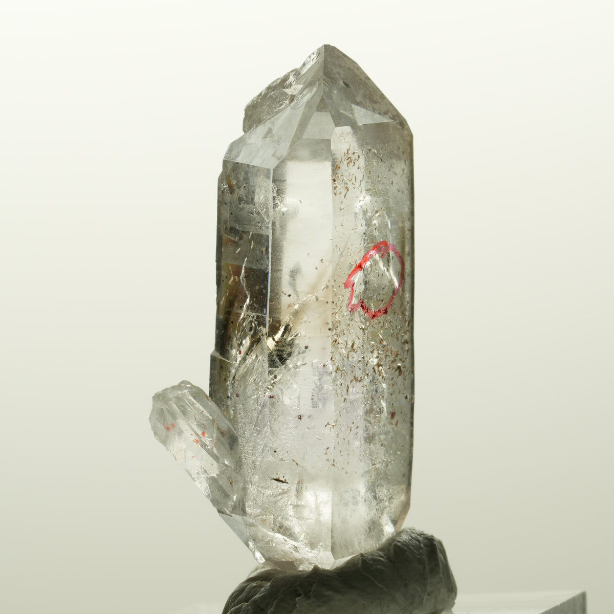 Enhydro Skelett Phantom Amethyst Doppelender, 1x Blase Goboboseb, Namibia 41*20*16mm #14837