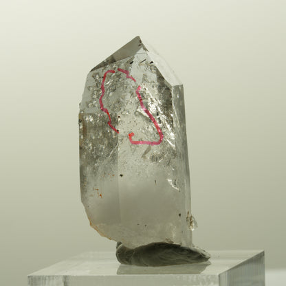 Enhydro Harlekin Phantom Rauchquarz, Analcim, große Blase Streep Mine, Namibia 35*19*14mm #14843