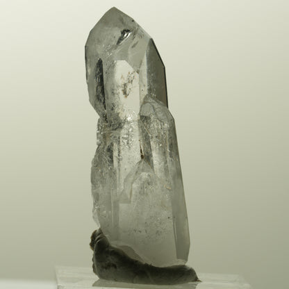 Seltene Phantom Skelett Rauchquarz Spitze Streep Mine, Goboboseb, Namibia 42*17*15mm #14849