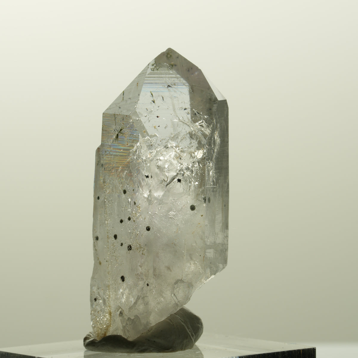 Harlekin Lemurian Phantom Amethyst Spitze Streep Mine, Goboboseb, Namibia 39*18*15mm #14857