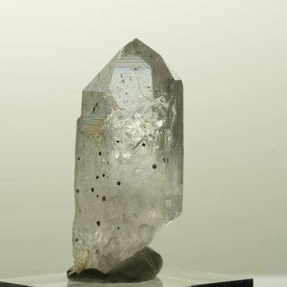 Harlekin Lemurian Phantom Amethyst Spitze Streep Mine, Goboboseb, Namibia 39*18*15mm #14857