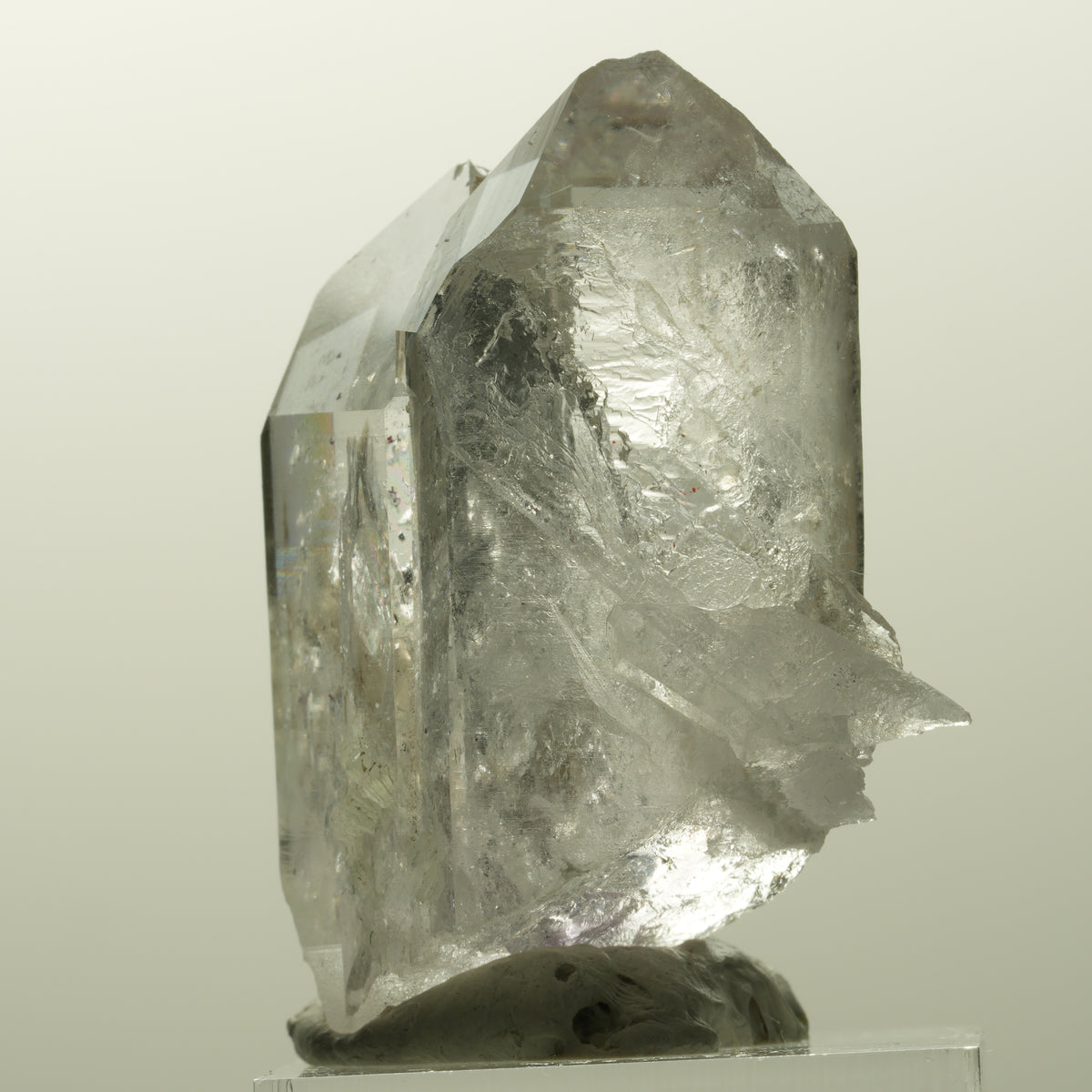 Harlekin Skelett Phantom Amethyst mit Prehnit Streep Mine, Goboboseb, Namibia 43*32*22mm #14864