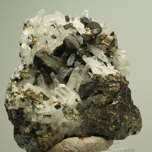Bergkristall mit Pyrit auf Sphalerit-Matrix Madan Ore Field, Rhodope, Bulgaria 73*66*38mm #14878