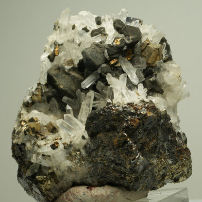 Bergkristall mit Pyrit auf Sphalerit-Matrix Madan Ore Field, Rhodope, Bulgaria 73*66*38mm #14878