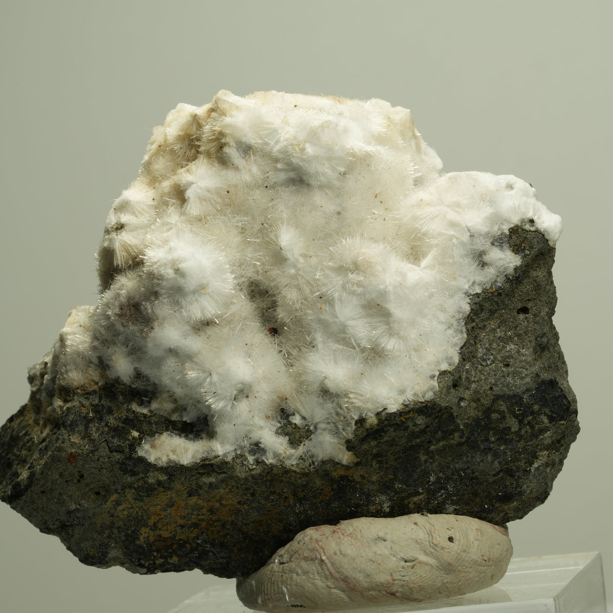 Flauschiger Okenit auf Basaltmatrix Poona, Indien 72*58*34mm #14885