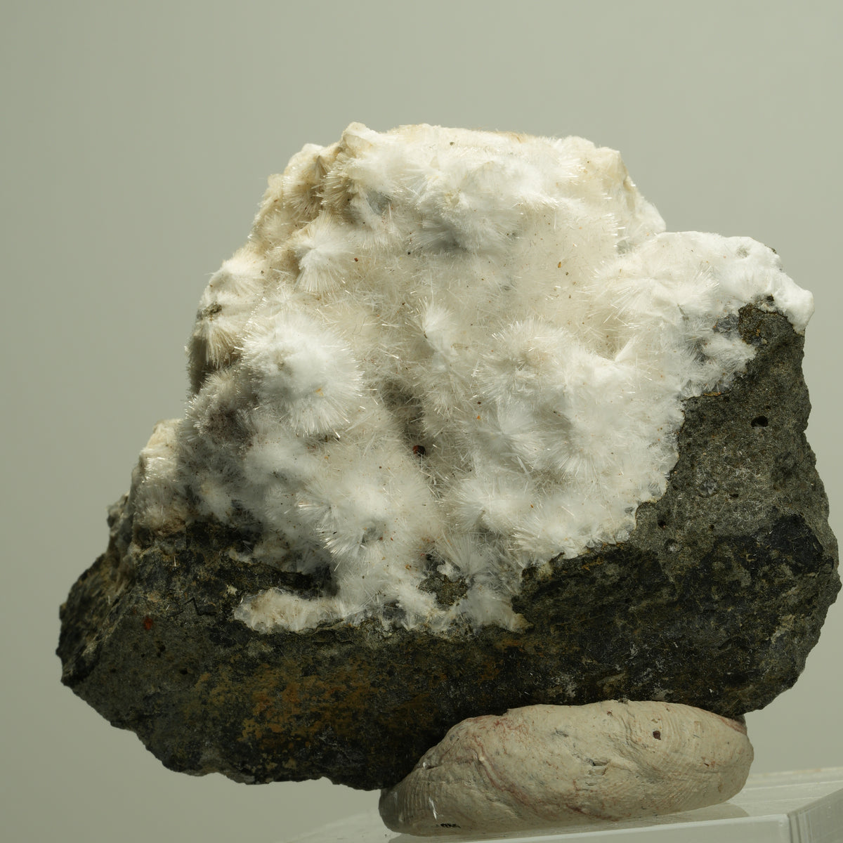 Flauschiger Okenit auf Basaltmatrix Poona, Indien 72*58*34mm #14885