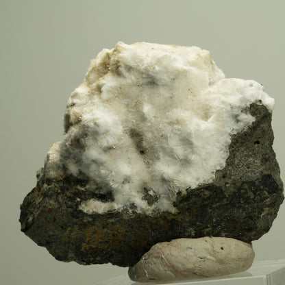 Flauschiger Okenit auf Basaltmatrix Poona, Indien 72*58*34mm #14885
