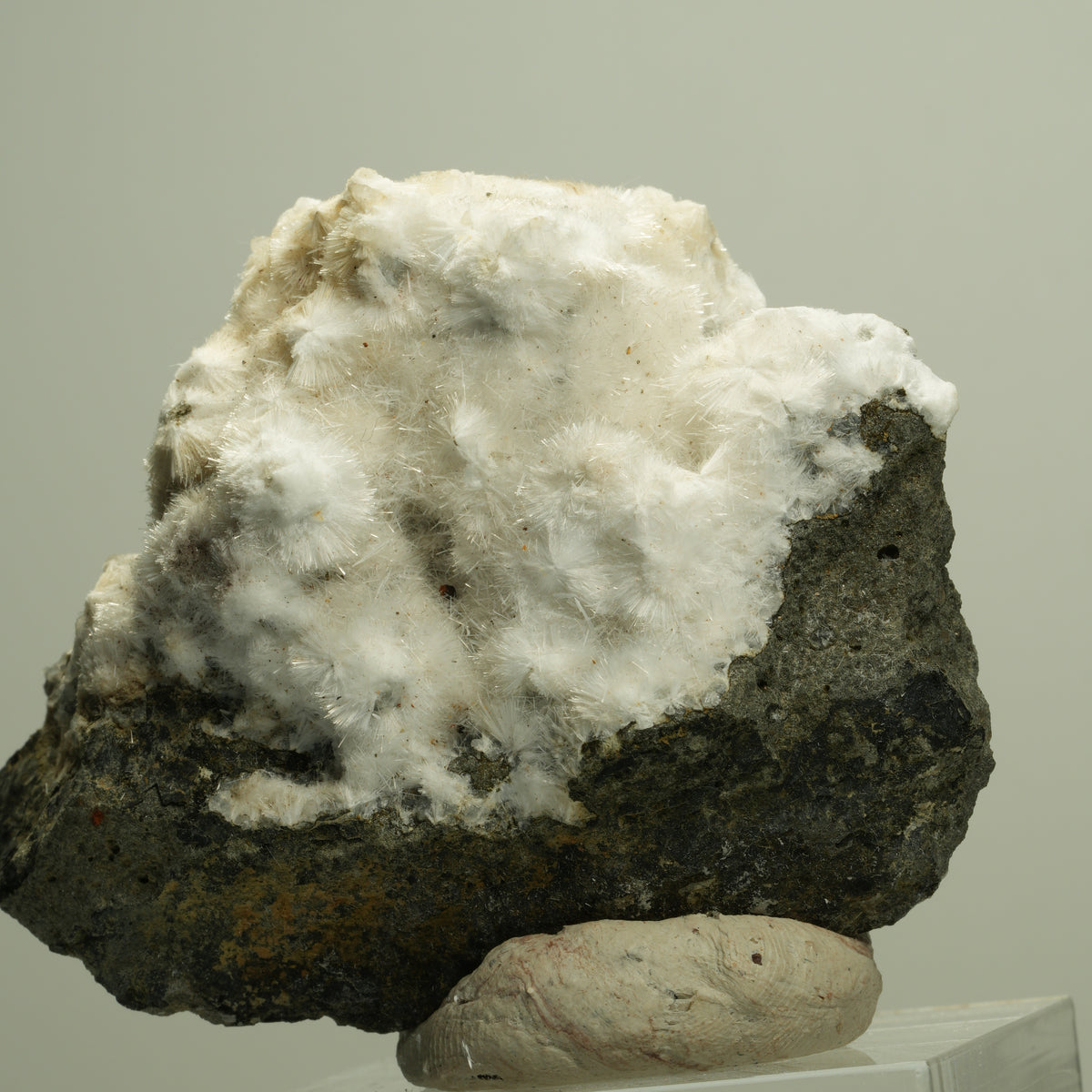 Flauschiger Okenit auf Basaltmatrix Poona, Indien 72*58*34mm #14885