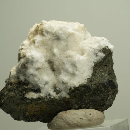 Flauschiger Okenit auf Basaltmatrix Poona, Indien 72*58*34mm #14885