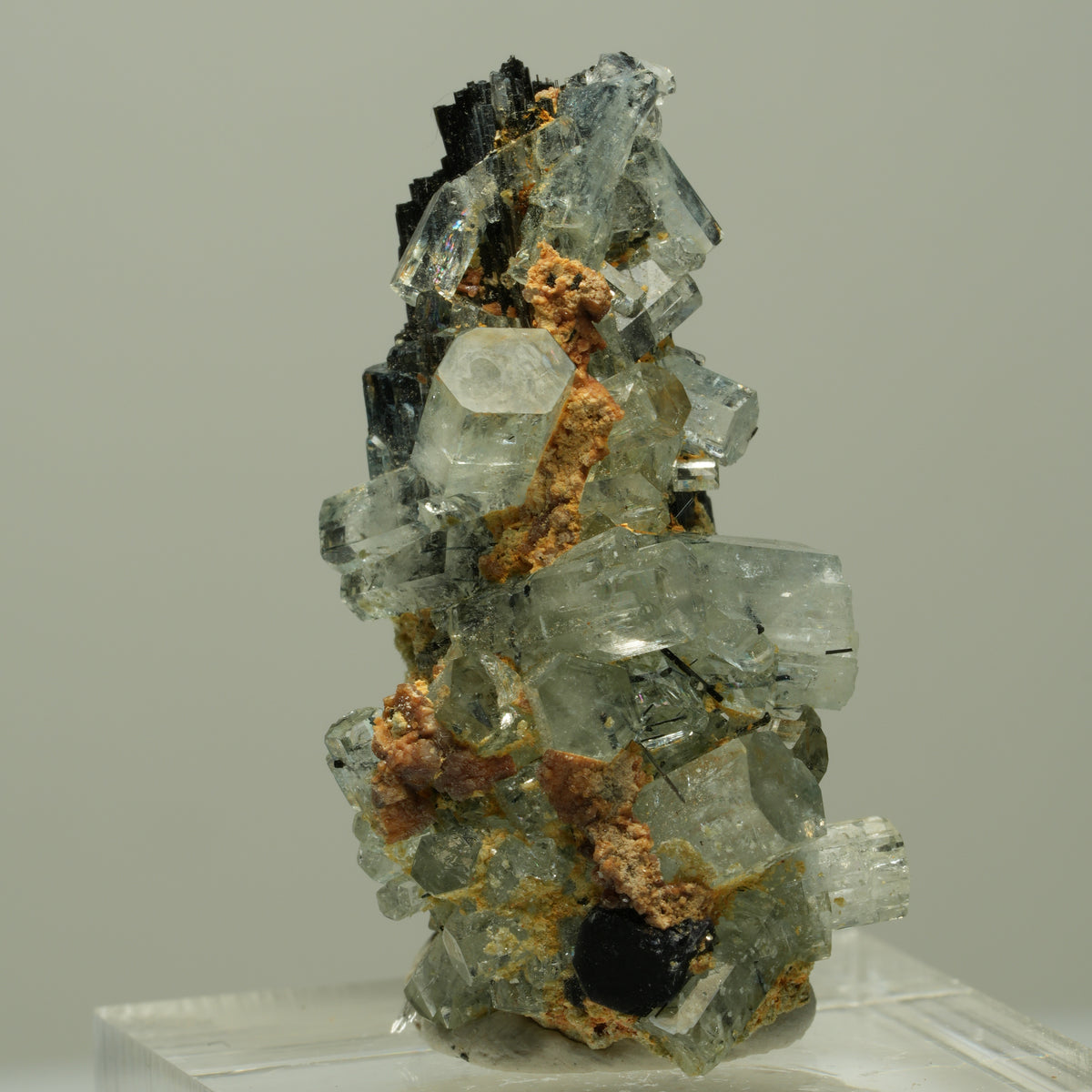 Seltene Aquamarin XX auf Schörl Turmalin Stufe Erongo, Namibia 36*20*16mm #14886