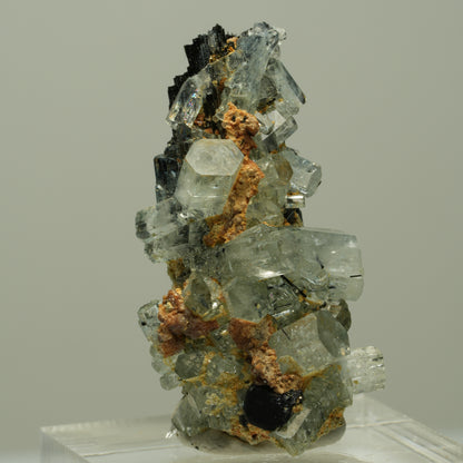 Seltene Aquamarin XX auf Schörl Turmalin Stufe Erongo, Namibia 36*20*16mm #14886