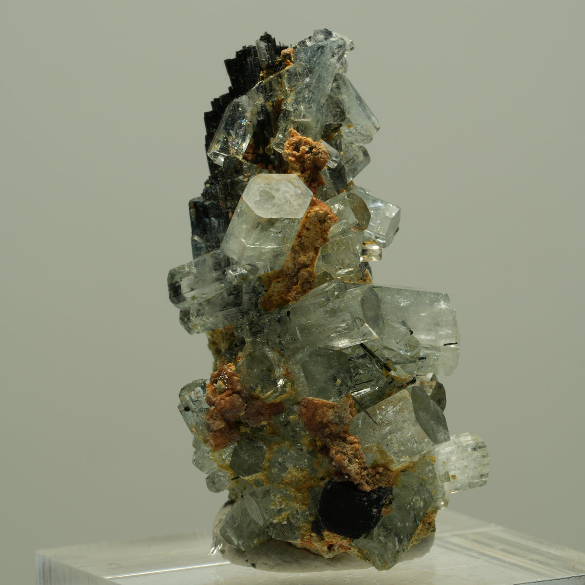 Seltene Aquamarin XX auf Schörl Turmalin Stufe Erongo, Namibia 36*20*16mm #14886