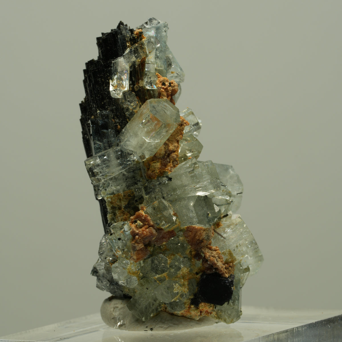 Seltene Aquamarin XX auf Schörl Turmalin Stufe Erongo, Namibia 36*20*16mm #14886