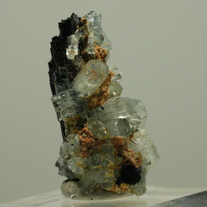 Seltene Aquamarin XX auf Schörl Turmalin Stufe Erongo, Namibia 36*20*16mm #14886