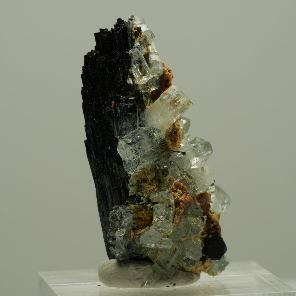 Seltene Aquamarin XX auf Schörl Turmalin Stufe Erongo, Namibia 36*20*16mm #14886