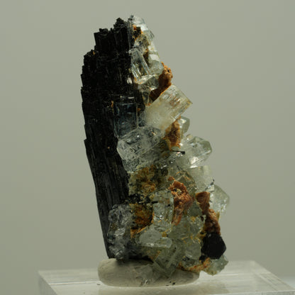 Seltene Aquamarin XX auf Schörl Turmalin Stufe Erongo, Namibia 36*20*16mm #14886