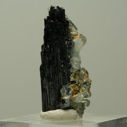 Seltene Aquamarin XX auf Schörl Turmalin Stufe Erongo, Namibia 36*20*16mm #14886