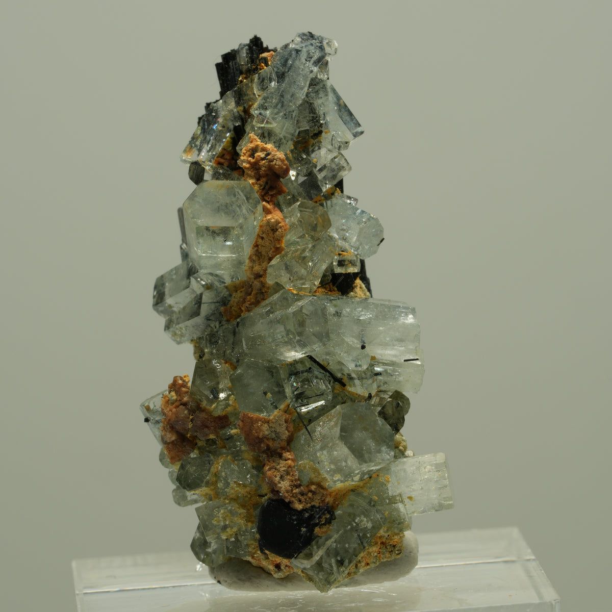 Seltene Aquamarin XX auf Schörl Turmalin Stufe Erongo, Namibia 36*20*16mm #14886