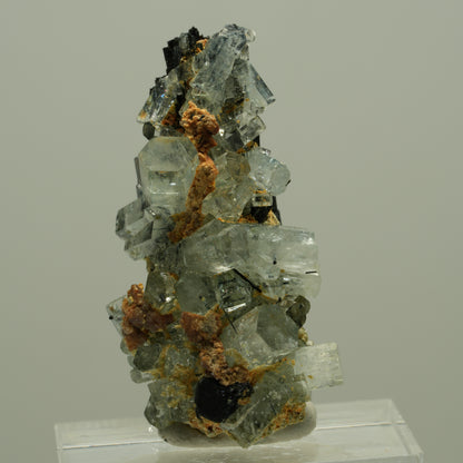 Seltene Aquamarin XX auf Schörl Turmalin Stufe Erongo, Namibia 36*20*16mm #14886