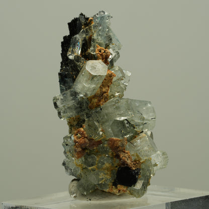 Seltene Aquamarin XX auf Schörl Turmalin Stufe Erongo, Namibia 36*20*16mm #14886