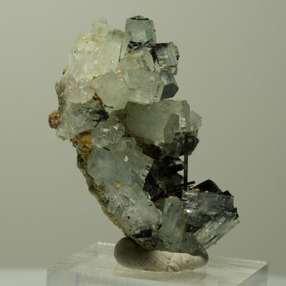 Aquamarin, Fluorit, Schörl Turmalin, Muskovit Stufe Erongo, Namibia 43*31*25mm #14898