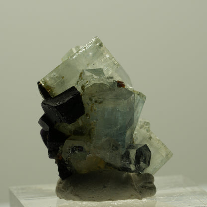 Aquamarin, Fluorit, Schörl Turmalin, Muskovit Stufe Erongo, Namibia 24*19*16mm #14910