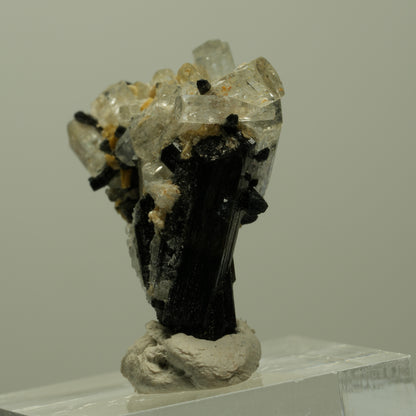 Aquamarin, Schörl Turmalin, Muskovit Stufe Erongo, Namibia 31*24*16mm #14912