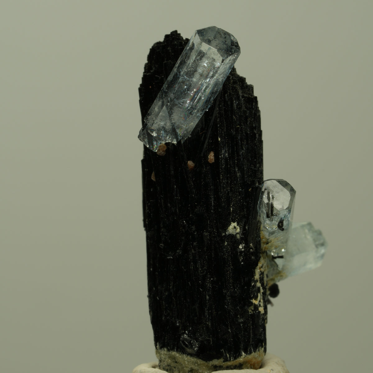 Aquamarin, Fluorit, Schörl Turmalin, Muskovit Stufe Erongo, Namibia 32*16*13mm #14915