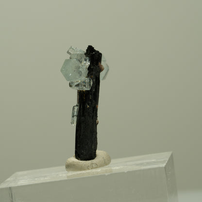 Aquamarin, Schörl Turmalin, Muskovit Stufe Erongo, Namibia 22*17*8mm #14919