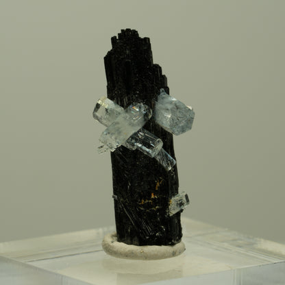 Aquamarin, Schörl Turmalin, Muskovit Stufe Erongo, Namibia 26*12*11mm #14920