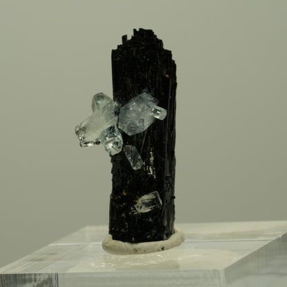 Aquamarin, Schörl Turmalin, Muskovit Stufe Erongo, Namibia 26*12*11mm #14920