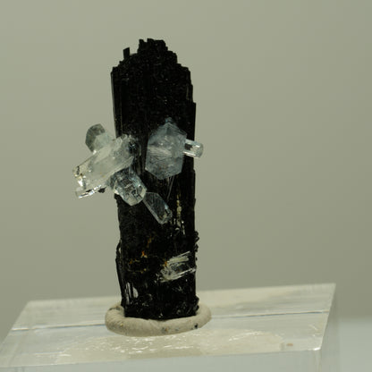 Aquamarin, Schörl Turmalin, Muskovit Stufe Erongo, Namibia 26*12*11mm #14920