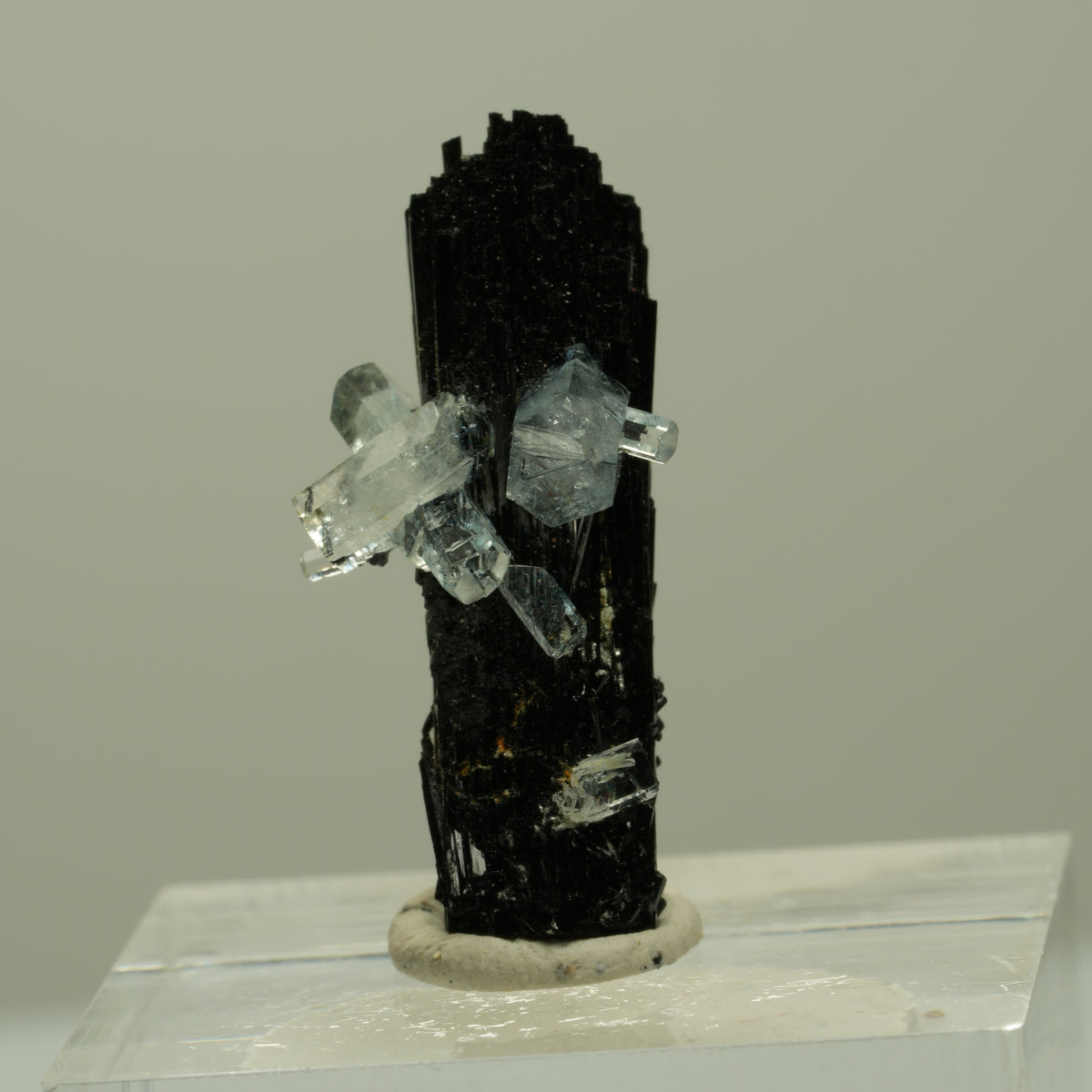 Aquamarin, Schörl Turmalin, Muskovit Stufe Erongo, Namibia 26*12*11mm #14920