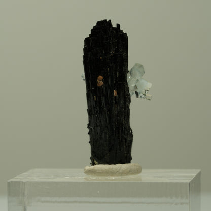 Aquamarin, Schörl Turmalin, Muskovit Stufe Erongo, Namibia 26*12*11mm #14920