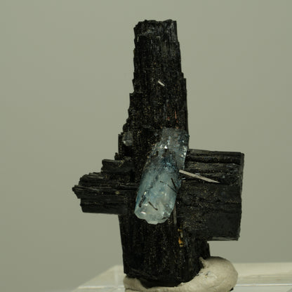 Seltene Aquamarin auf Schörl Turmalin Kreuz Stufe Erongo, Namibia 33*21*18mm #14923