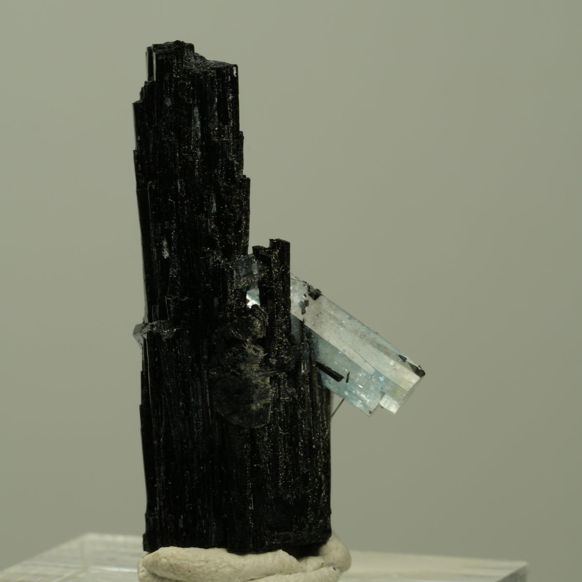 Seltene Aquamarin auf Schörl Turmalin Kreuz Stufe Erongo, Namibia 33*21*18mm #14923