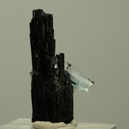 Seltene Aquamarin auf Schörl Turmalin Kreuz Stufe Erongo, Namibia 33*21*18mm #14923