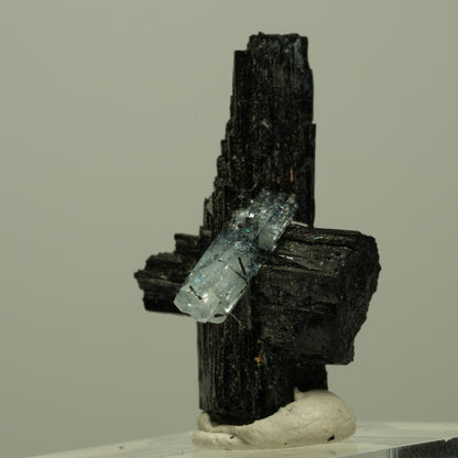 Seltene Aquamarin auf Schörl Turmalin Kreuz Stufe Erongo, Namibia 33*21*18mm #14923
