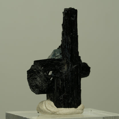 Seltene Aquamarin auf Schörl Turmalin Kreuz Stufe Erongo, Namibia 33*21*18mm #14923