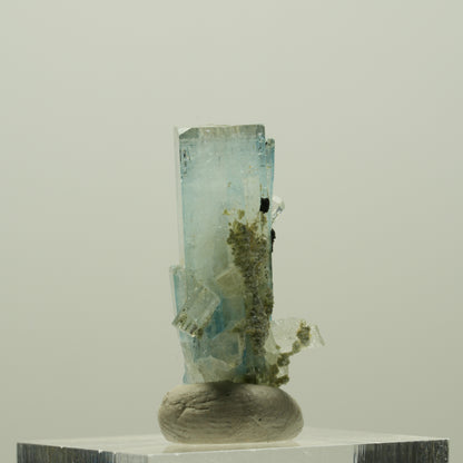 Seltene Aquamarin DT, Fluorit, Muskovit Stufe Erongo, Namibia 29*14*13mm #14930