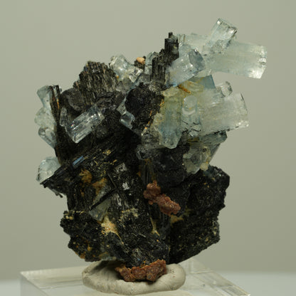 Aquamarin, Fluorit, Schörl Turmalin, Muskovit Stufe Erongo, Namibia 45*37*19mm #14952