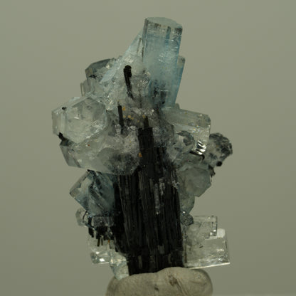 Seltene Aquamarin, Schörl Turmalin Stufe Erongo, Namibia 31*19*13mm #14955